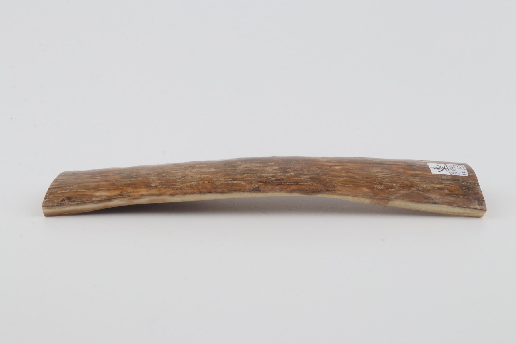 Beige mammoth bark