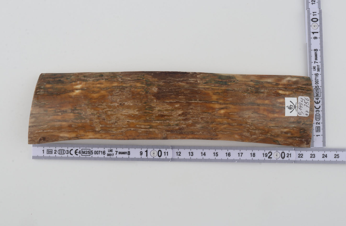 Beige mammoth bark