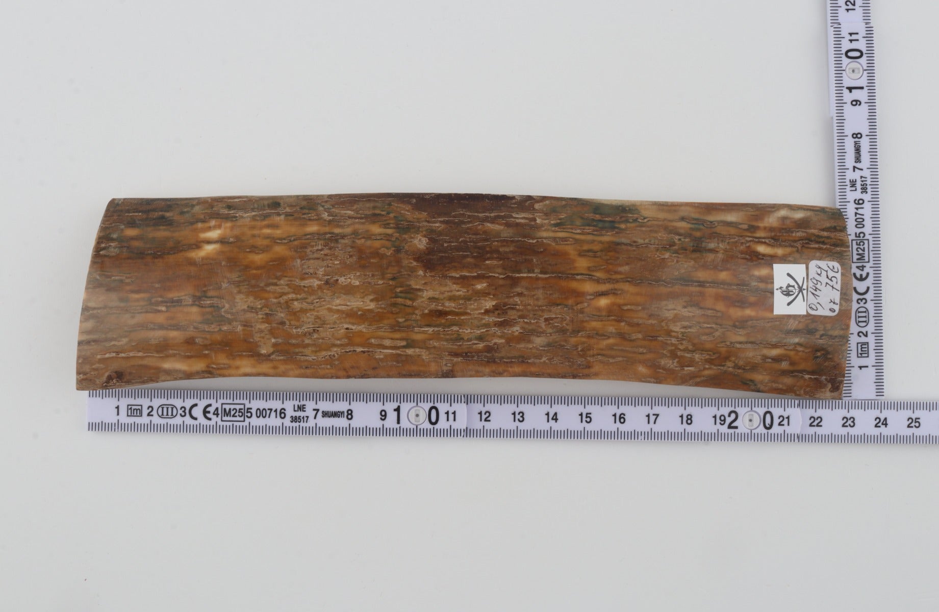 Beige mammoth bark