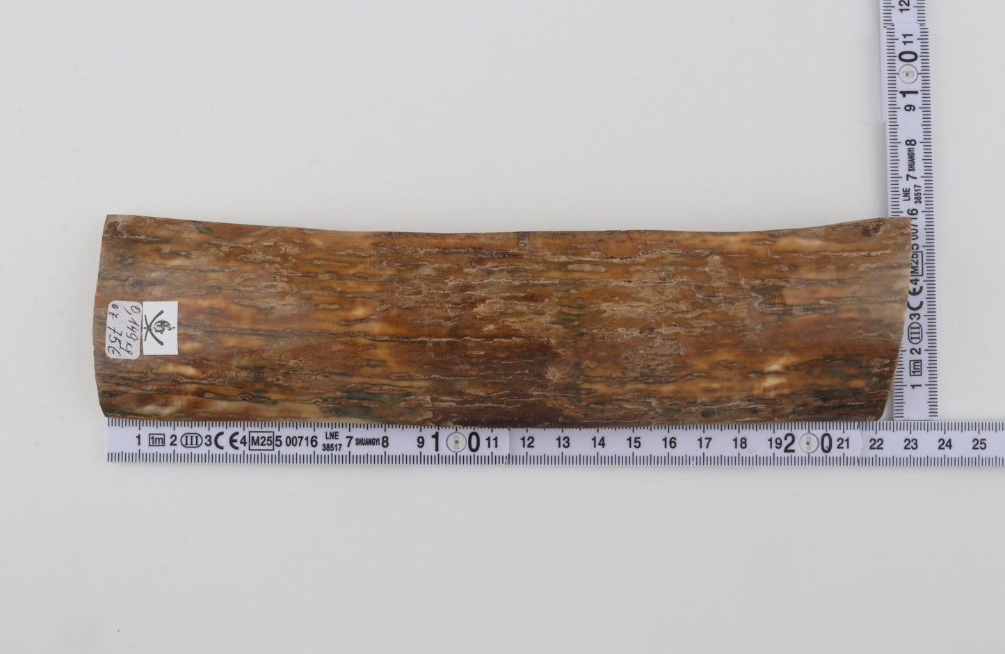 Beige mammoth bark