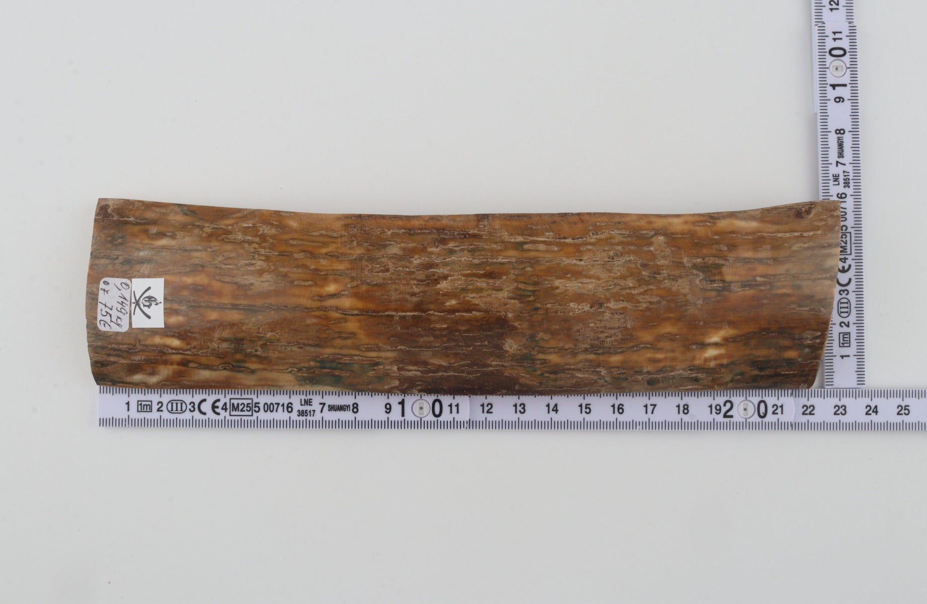 Beige mammoth bark