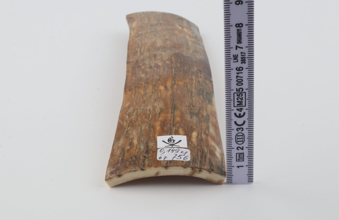Beige mammoth bark