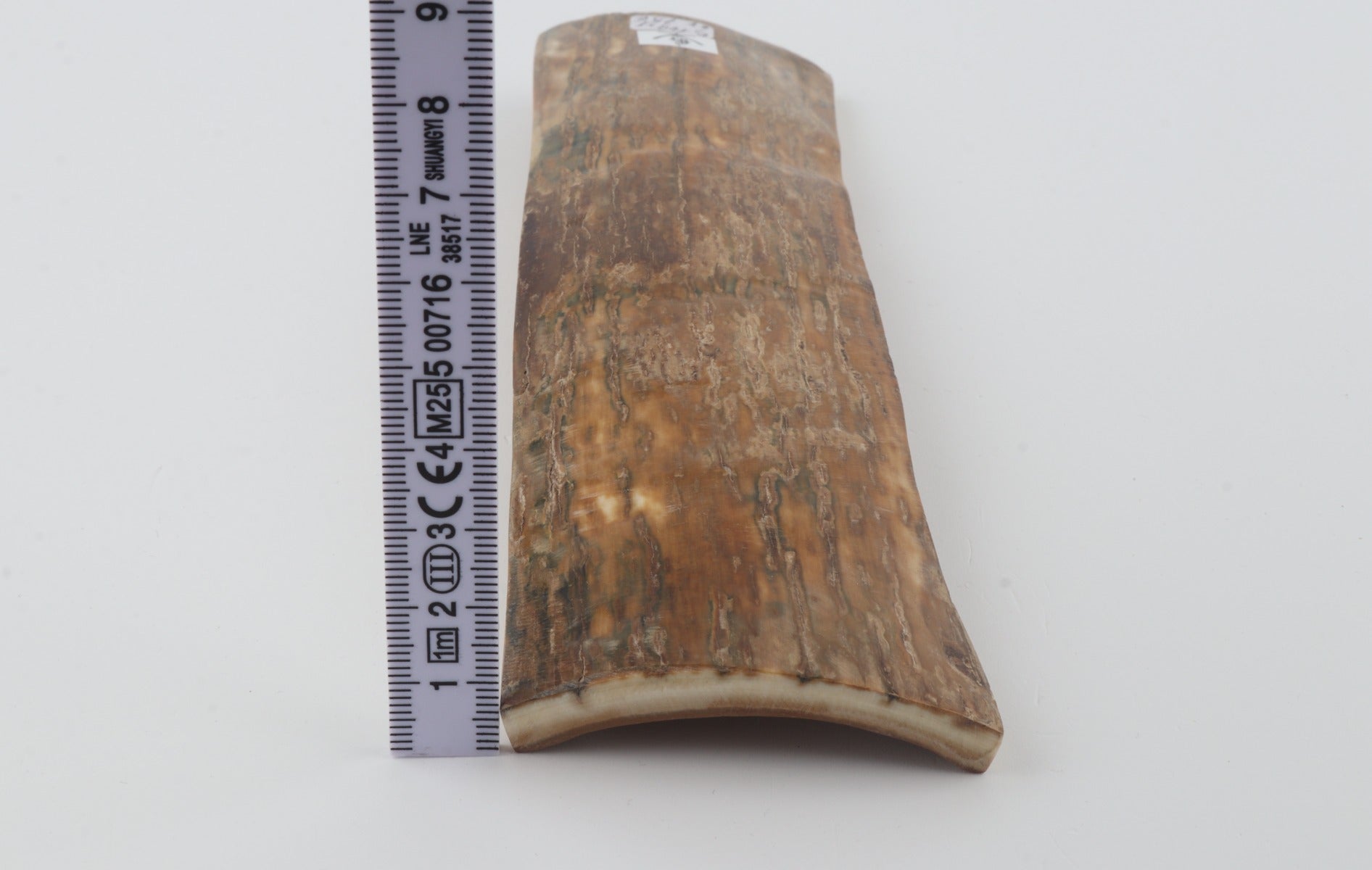 Beige mammoth bark