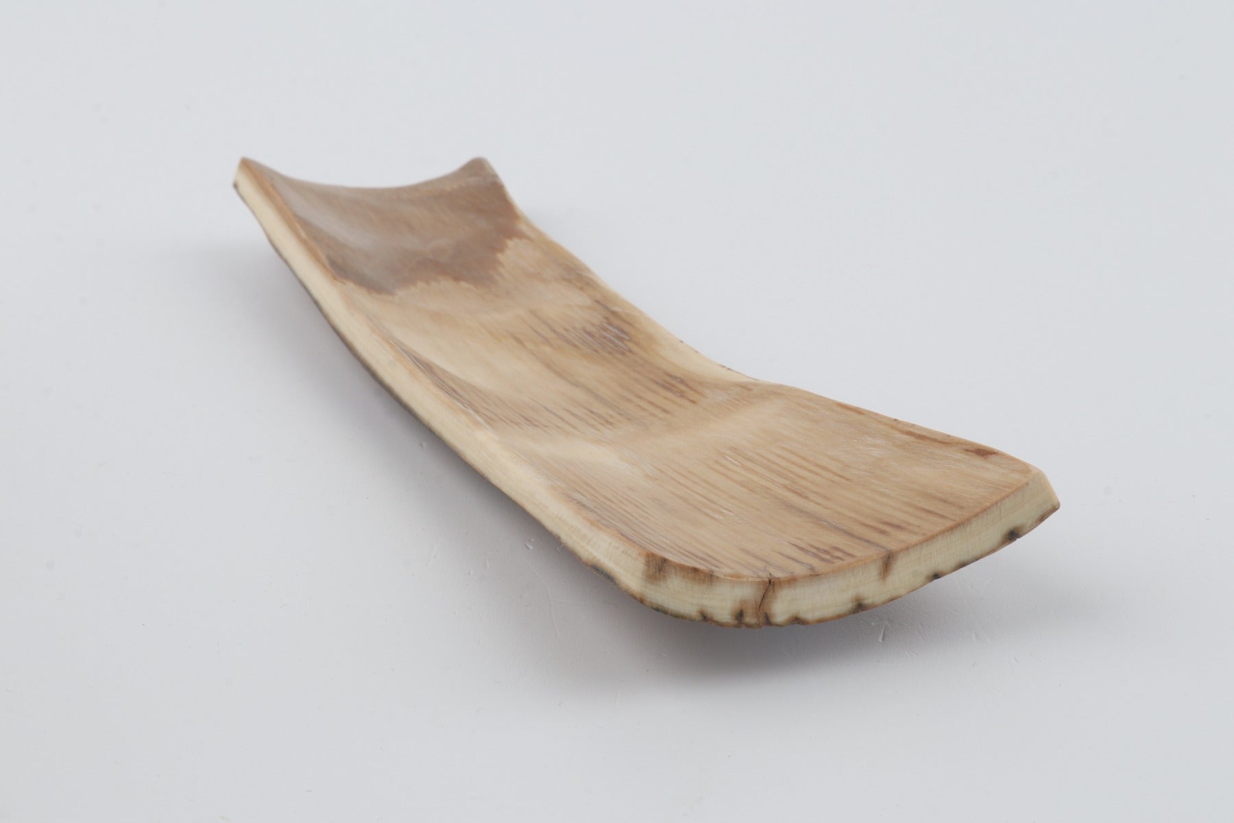 Beige mammoth bark