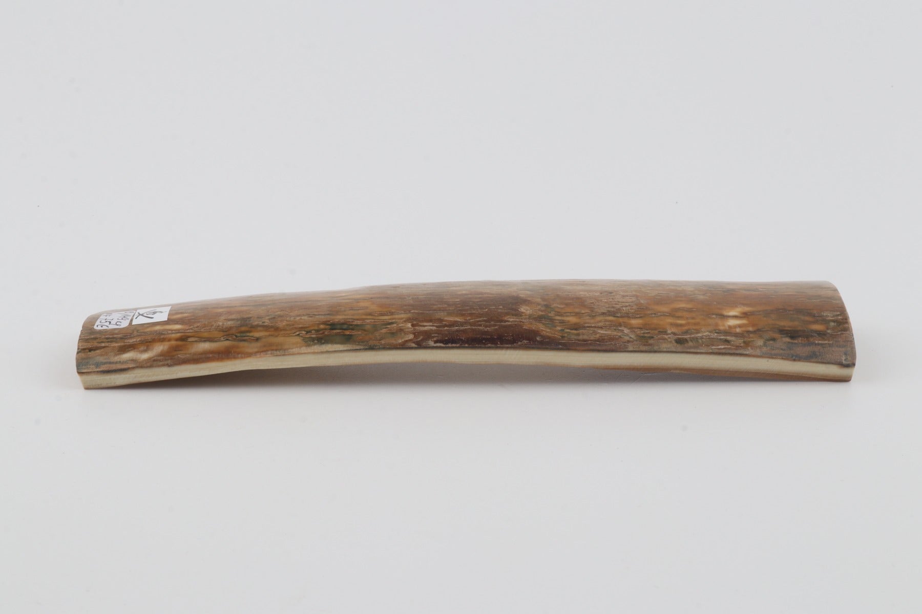 Beige mammoth bark