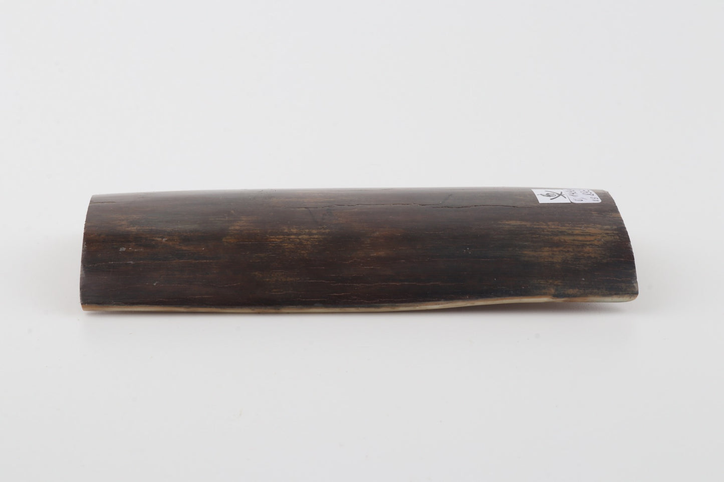 Brown mammoth bark