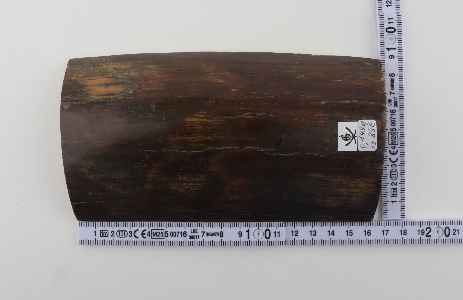 Brown mammoth bark