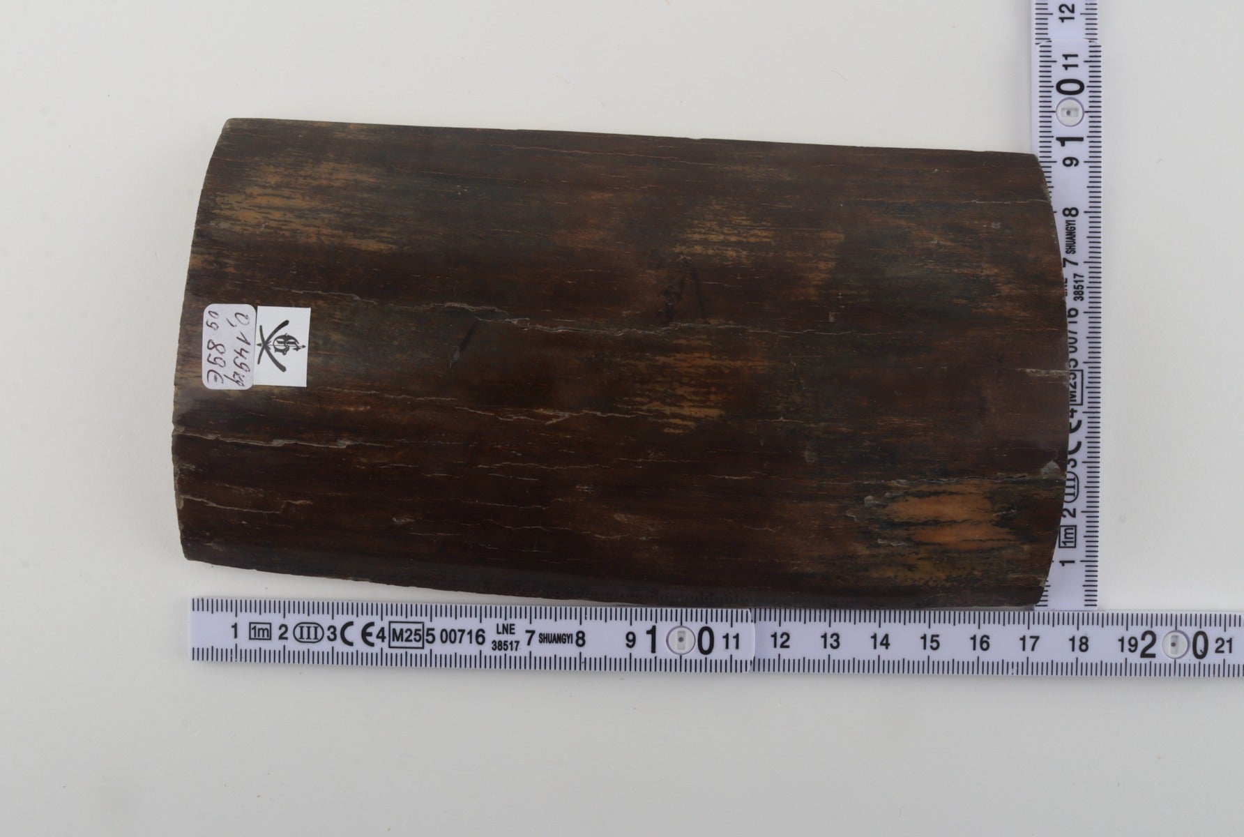 Brown mammoth bark