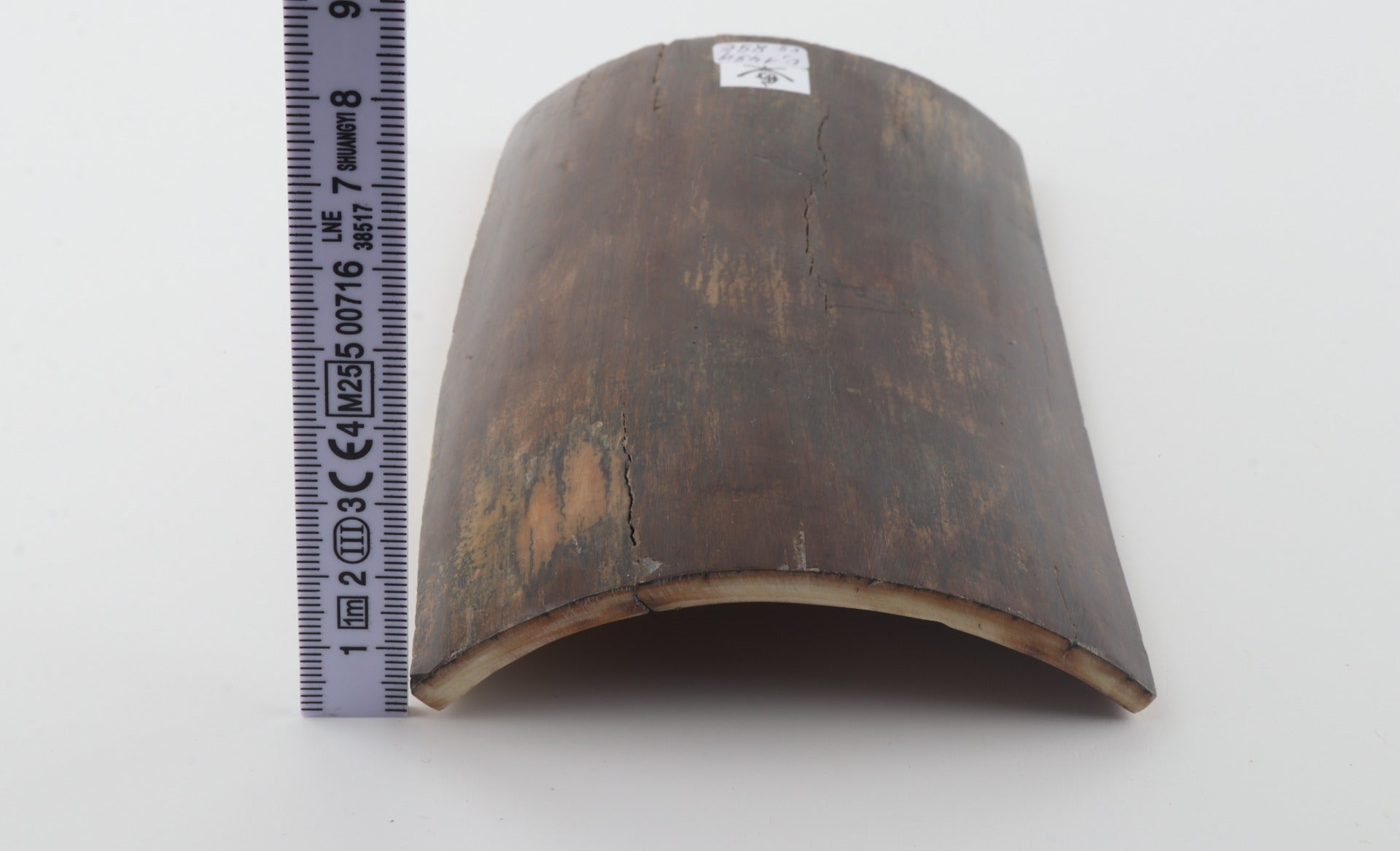 Brown mammoth bark