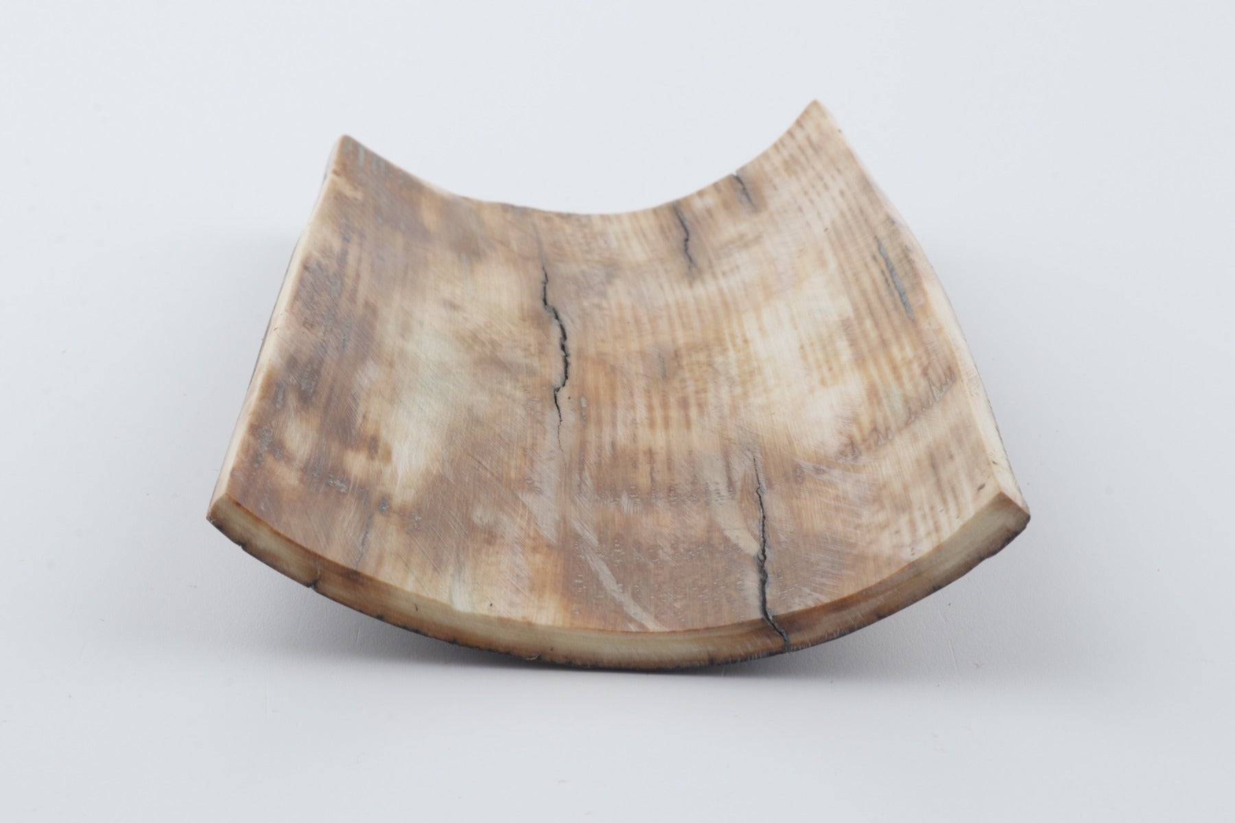 Brown mammoth bark