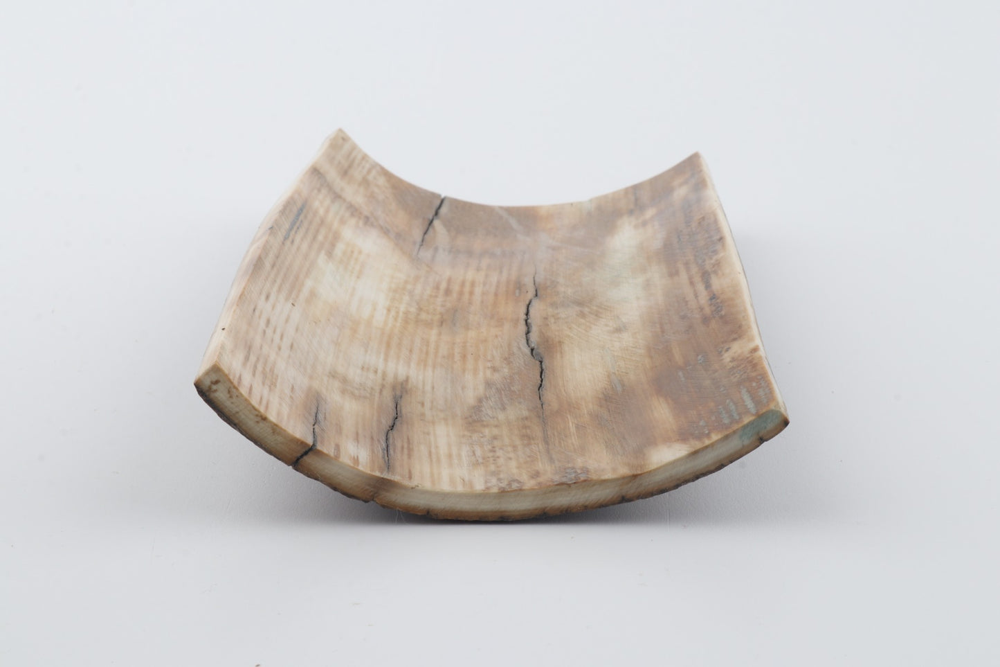 Brown mammoth bark