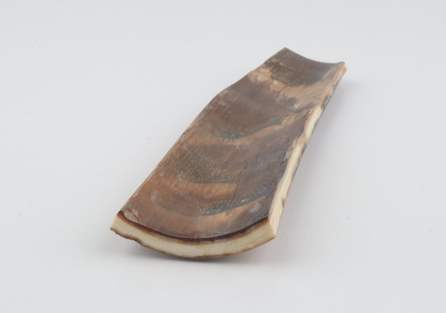 Brown-mustard mammoth bark