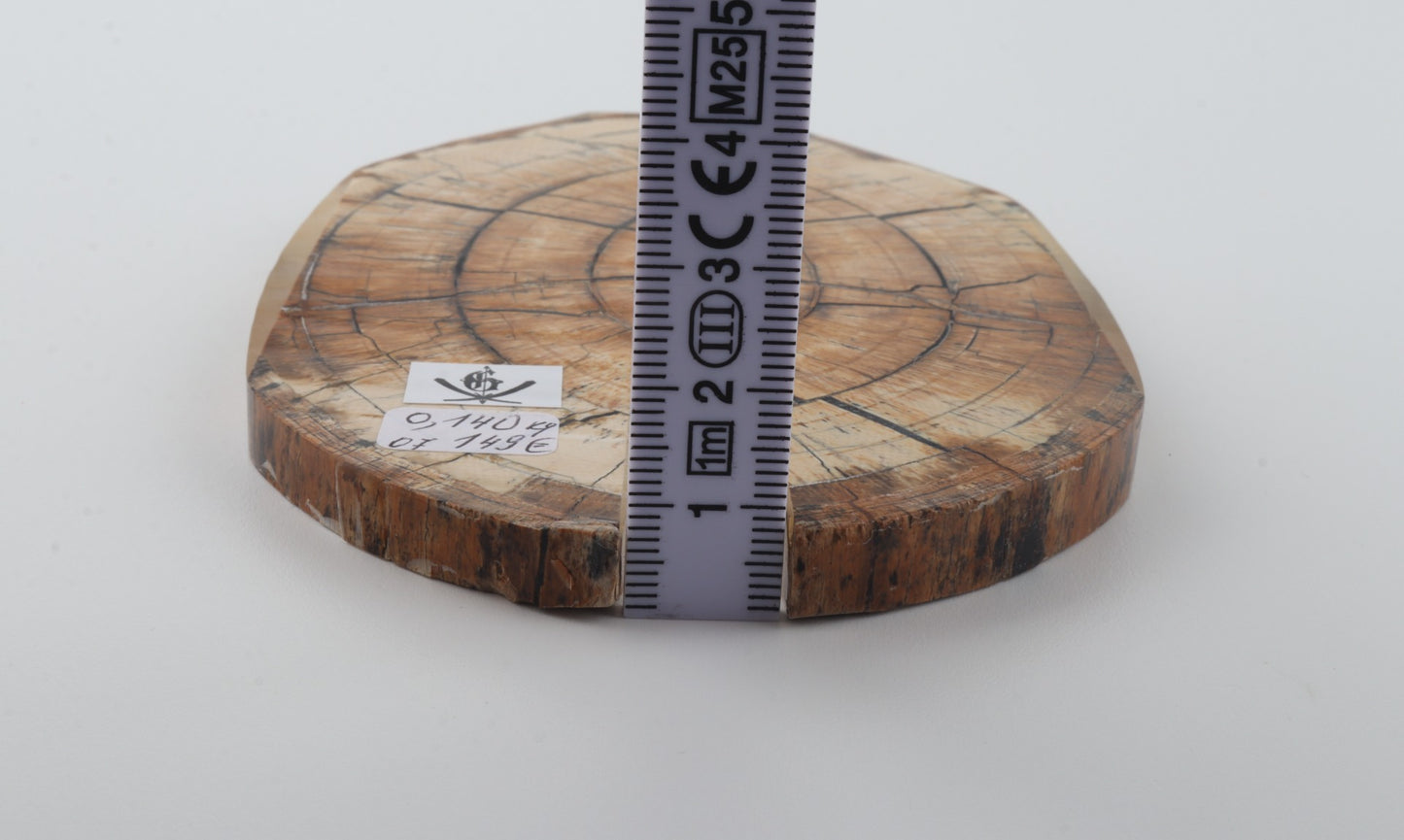 Stabilized mammoth ivory scales