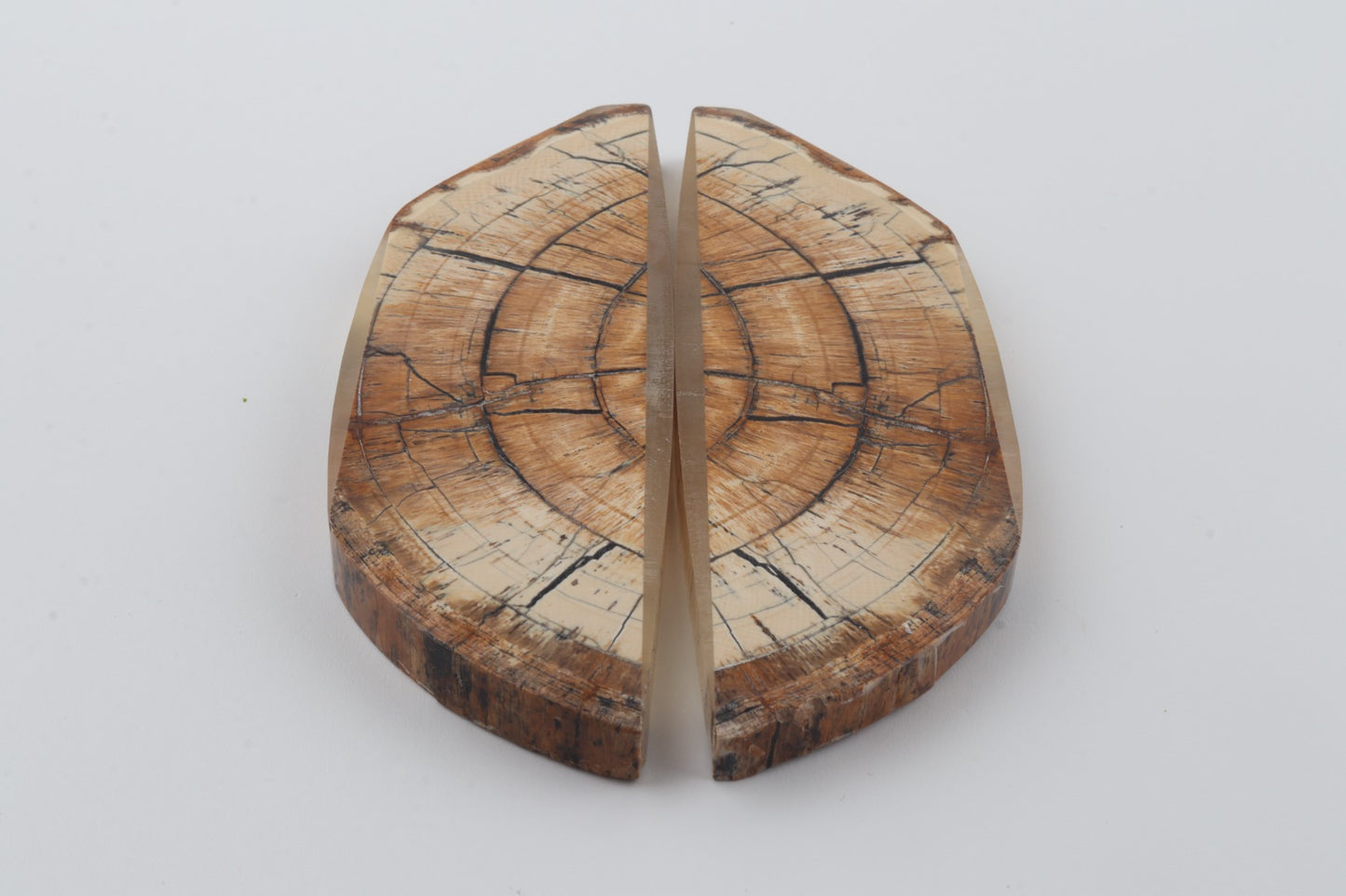Stabilized mammoth ivory scales
