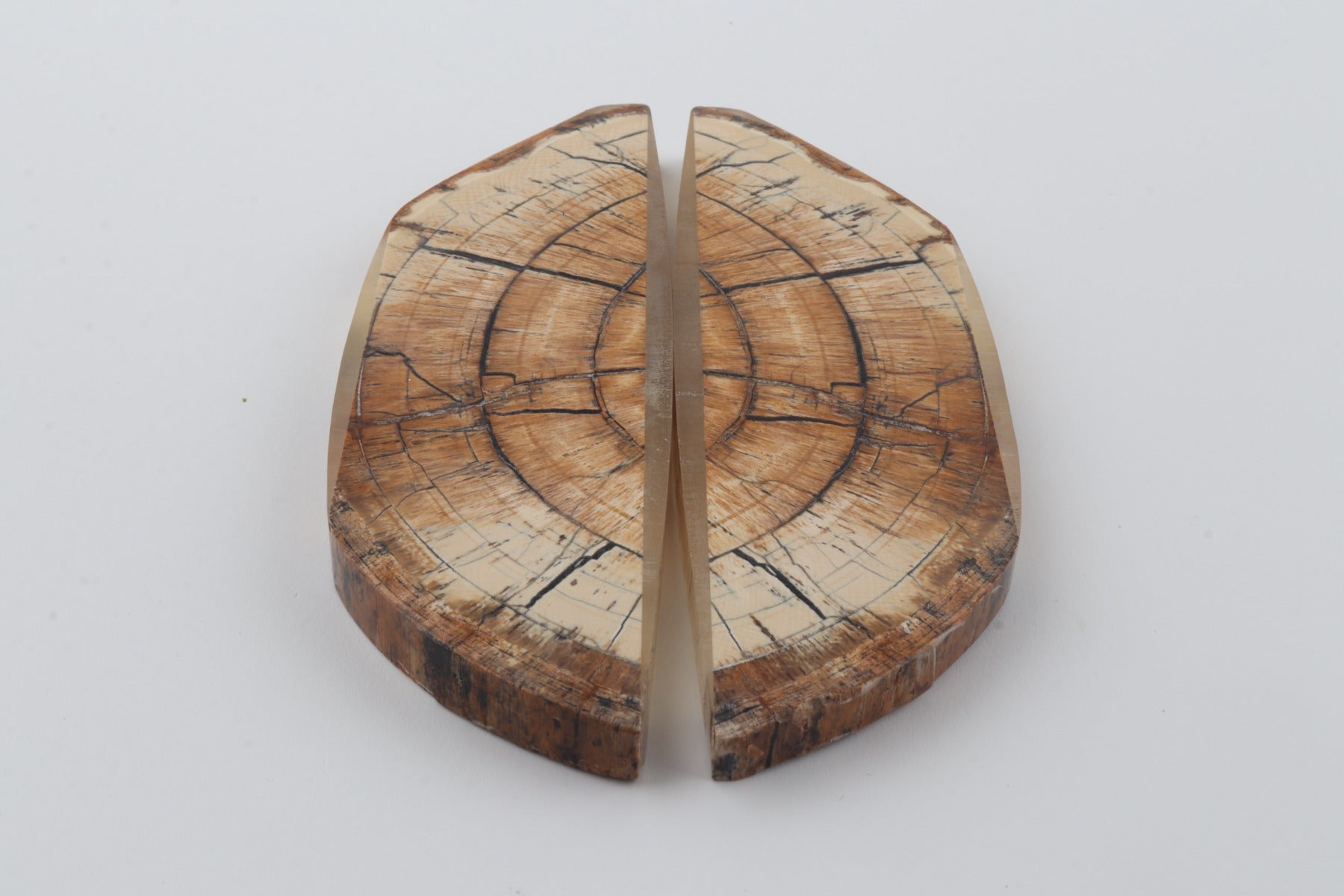 Stabilized mammoth ivory scales