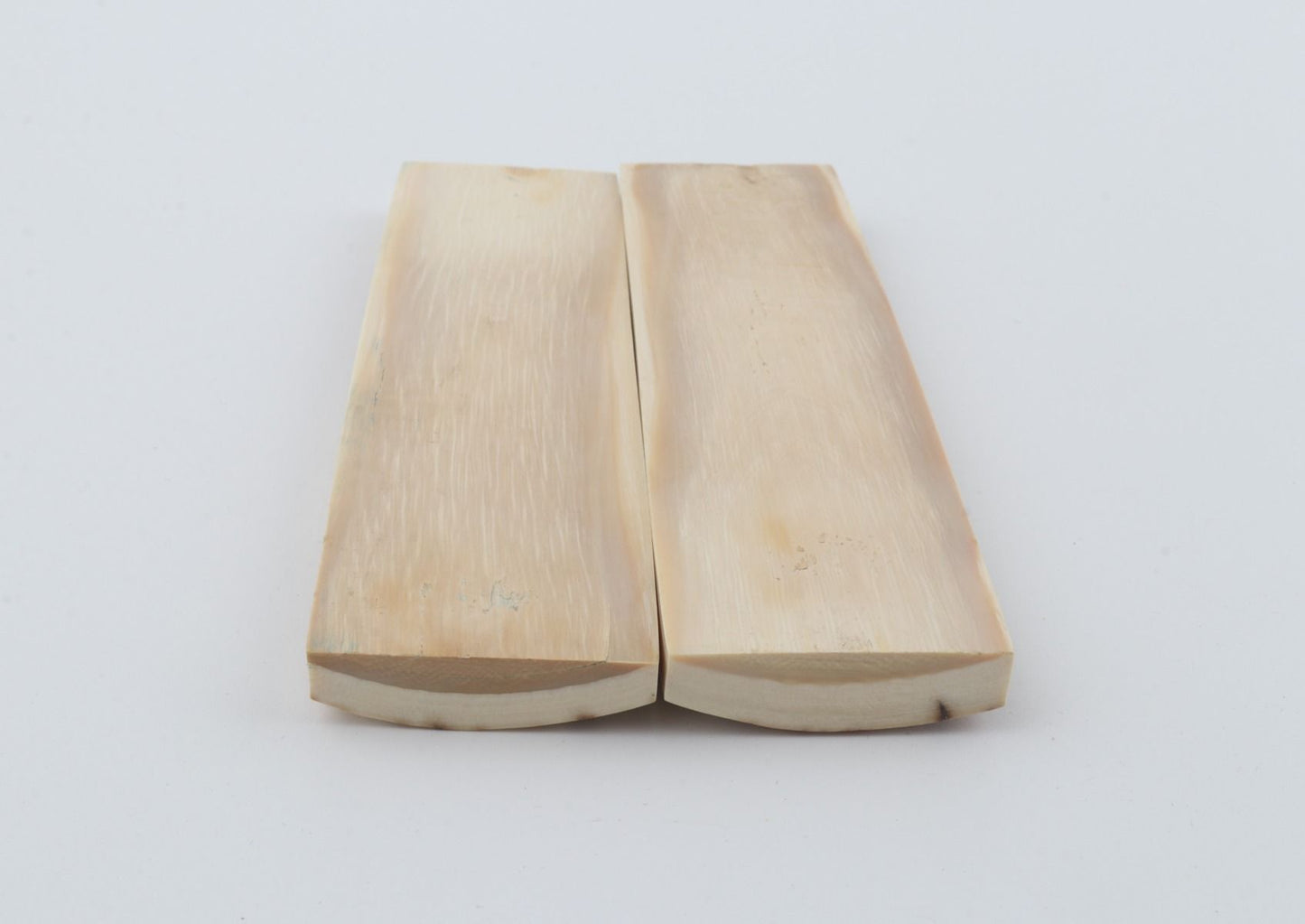 Natural mammoth bark scales