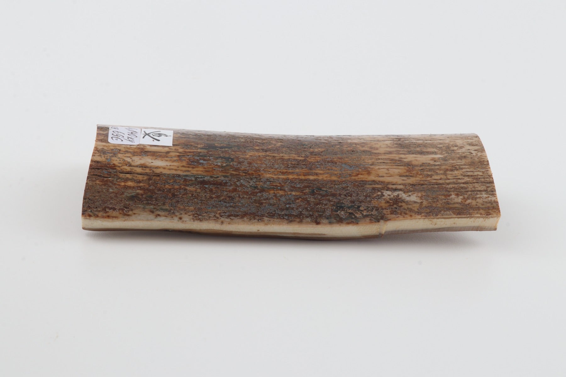 Natural mammoth bark