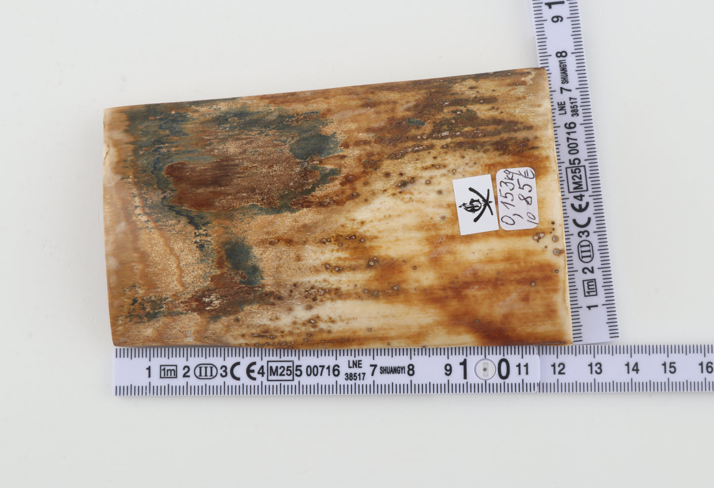 Natural woolly mammoth bark