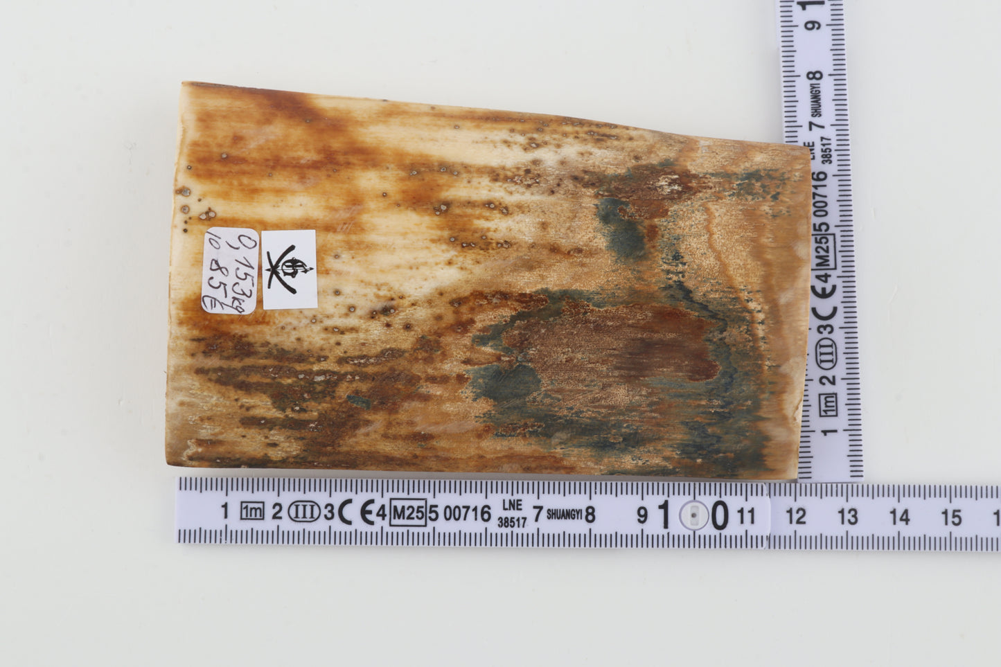 Natural woolly mammoth bark