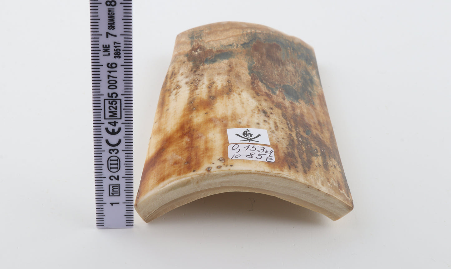 Natural woolly mammoth bark