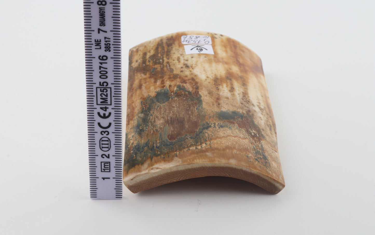 Natural woolly mammoth bark