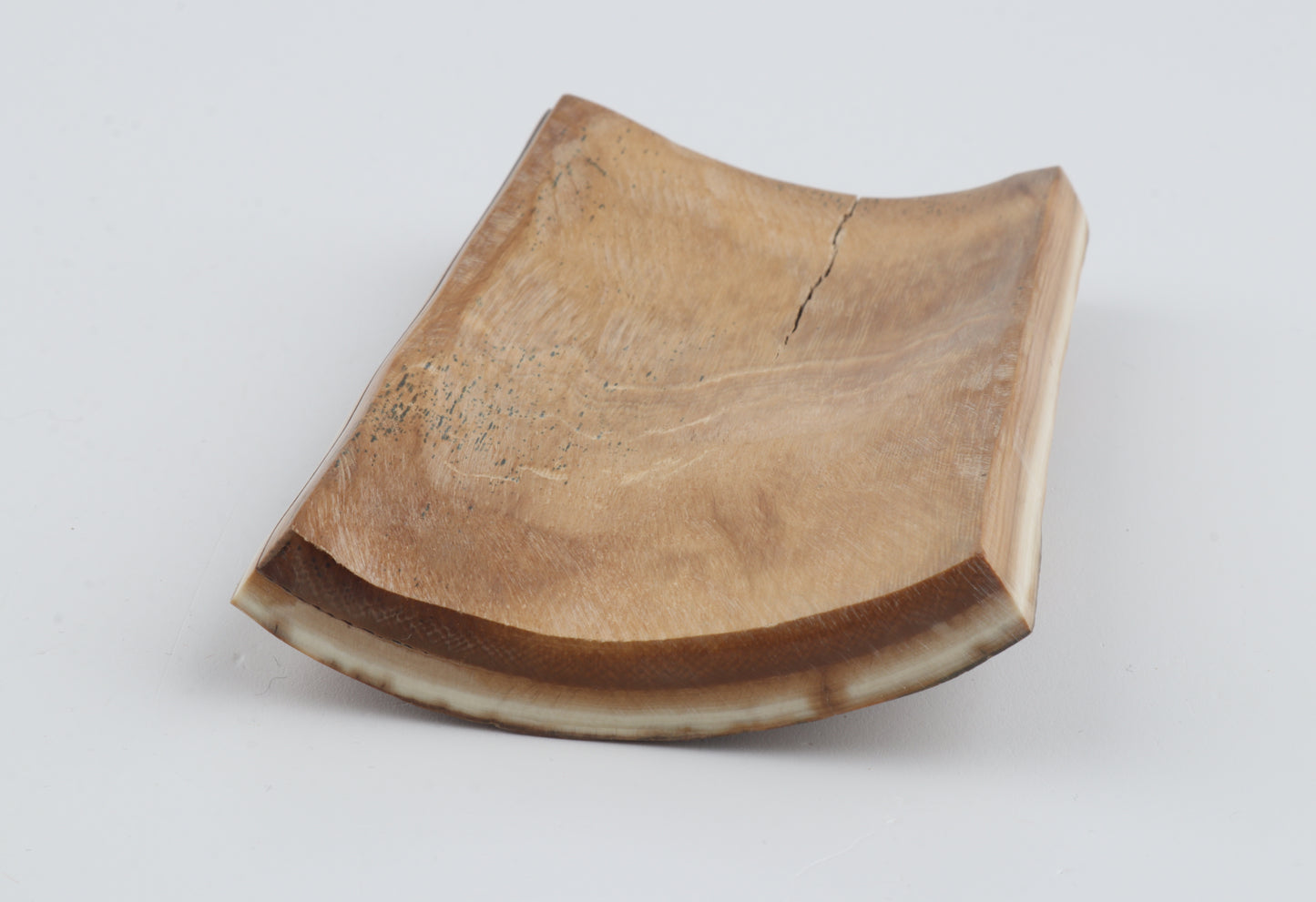 Orange-blue mammoth bark