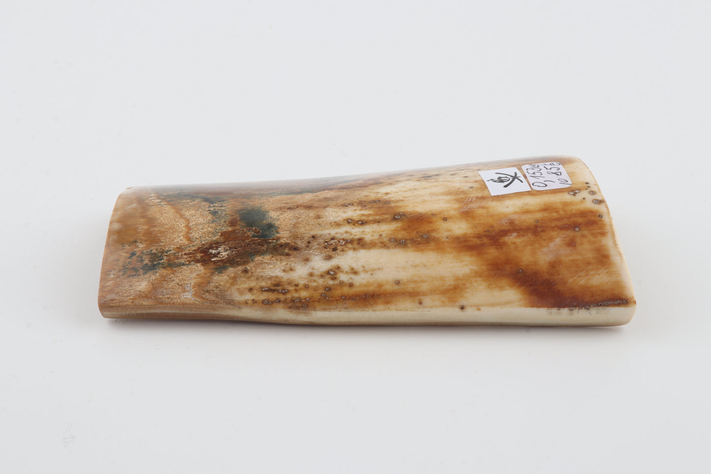 Natural woolly mammoth bark