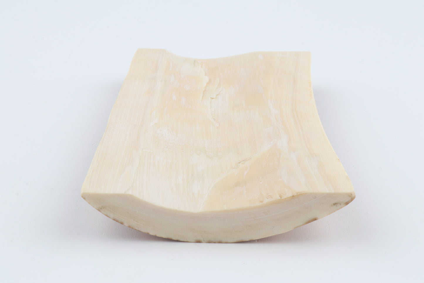 Orange-brown mammoth bark