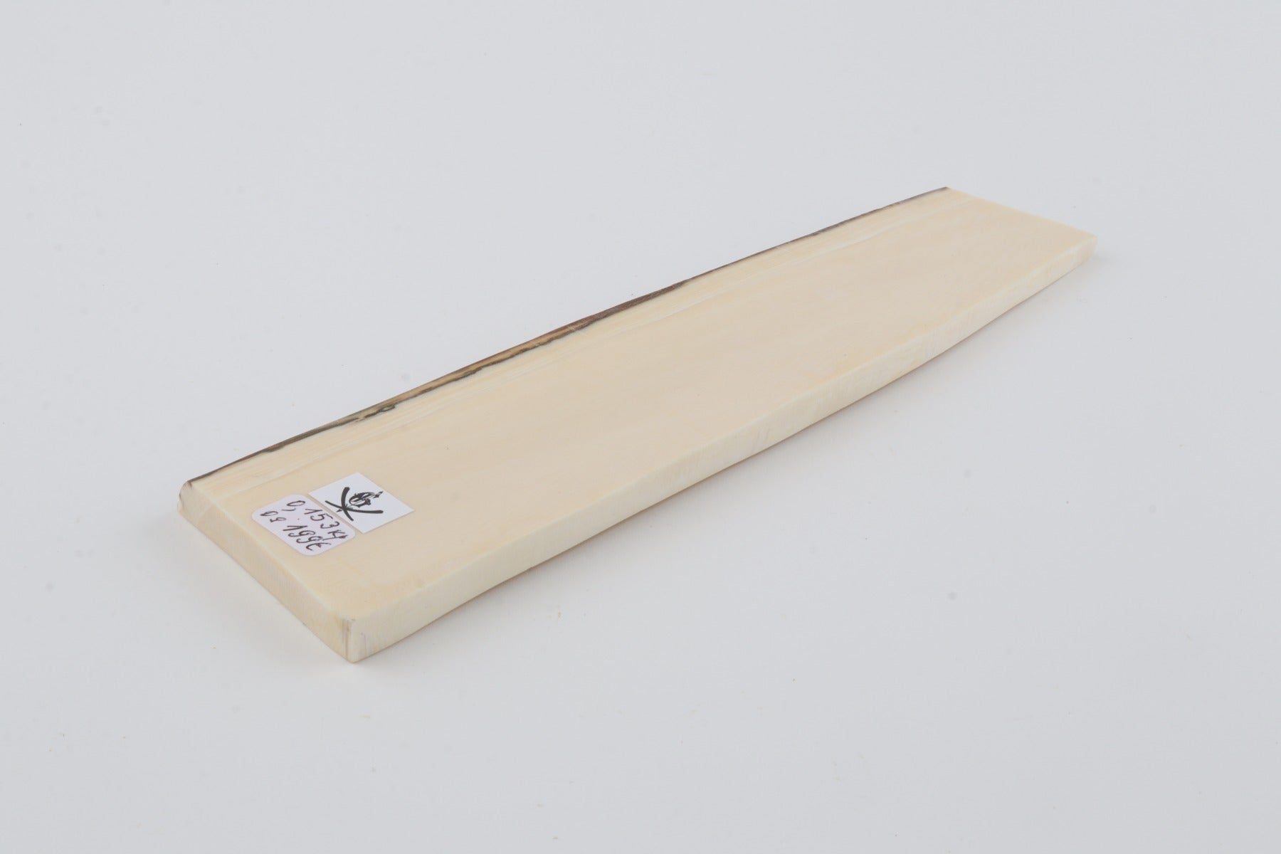 White mammoth ivory segment