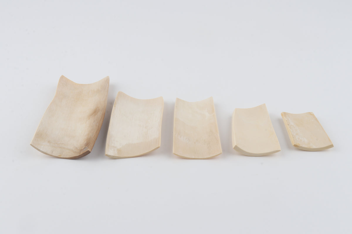 Creme-white mammoth ivory pieces