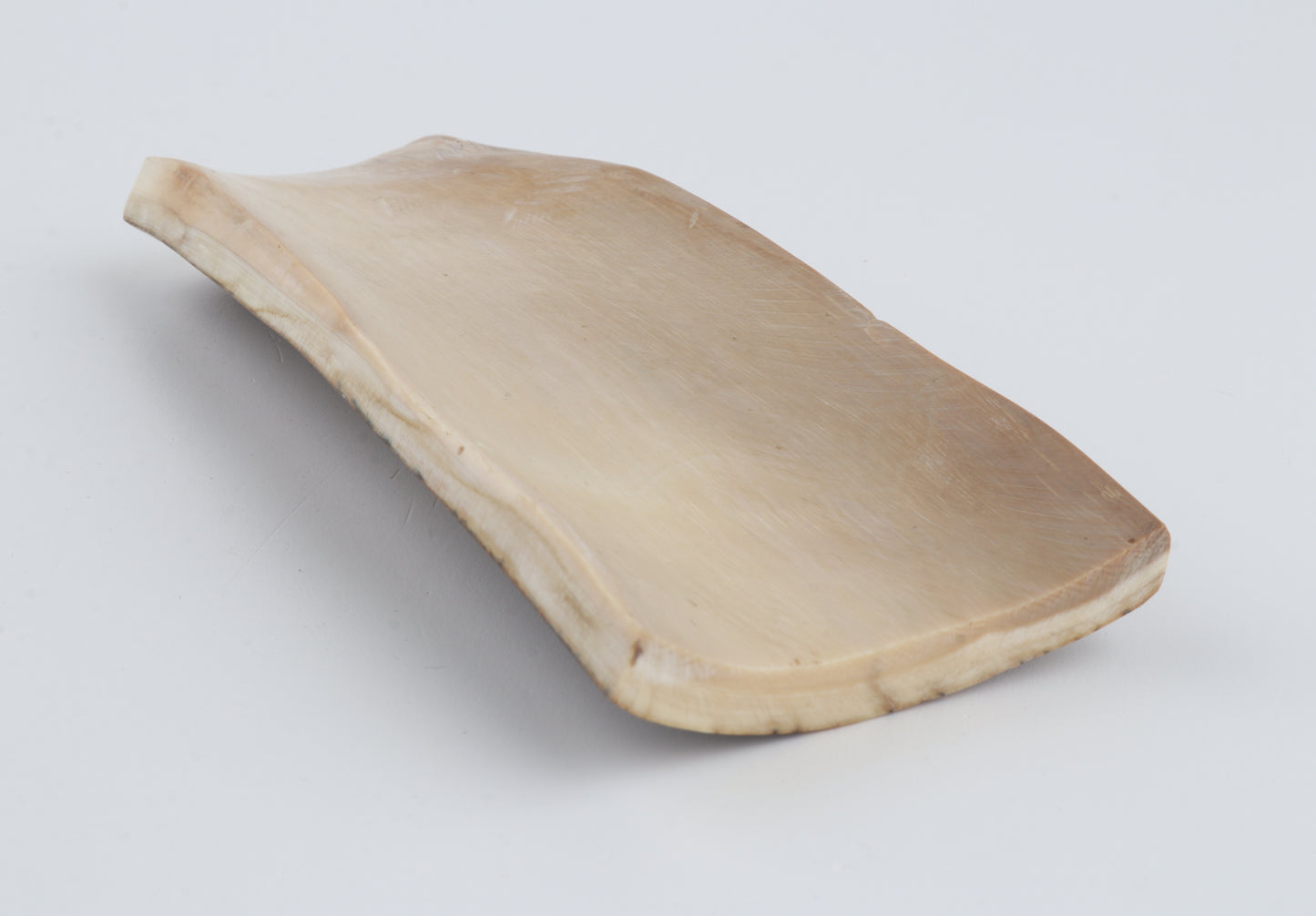 Green-mustard mammoth bark