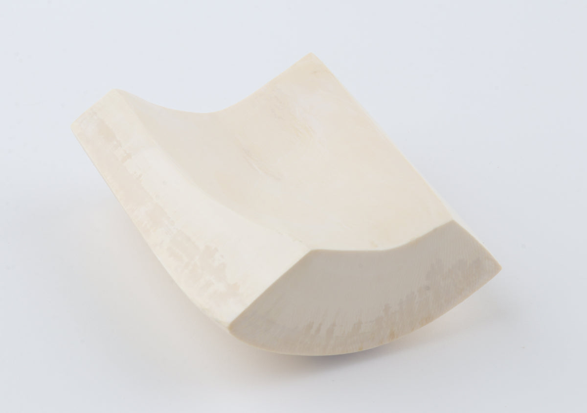 White mammoth ivory segment