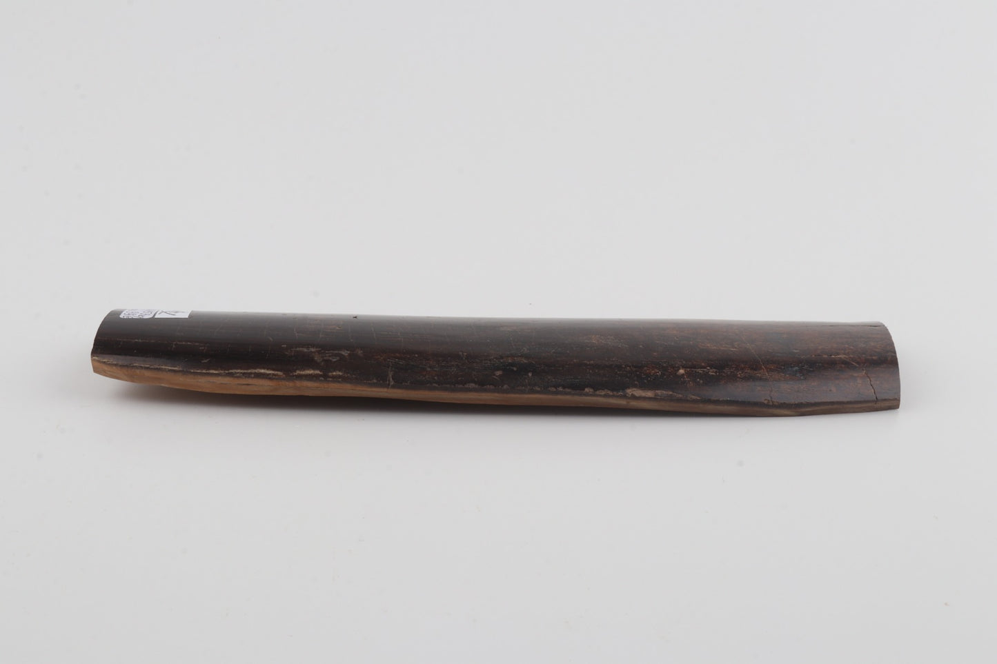 Brown mammoth bark