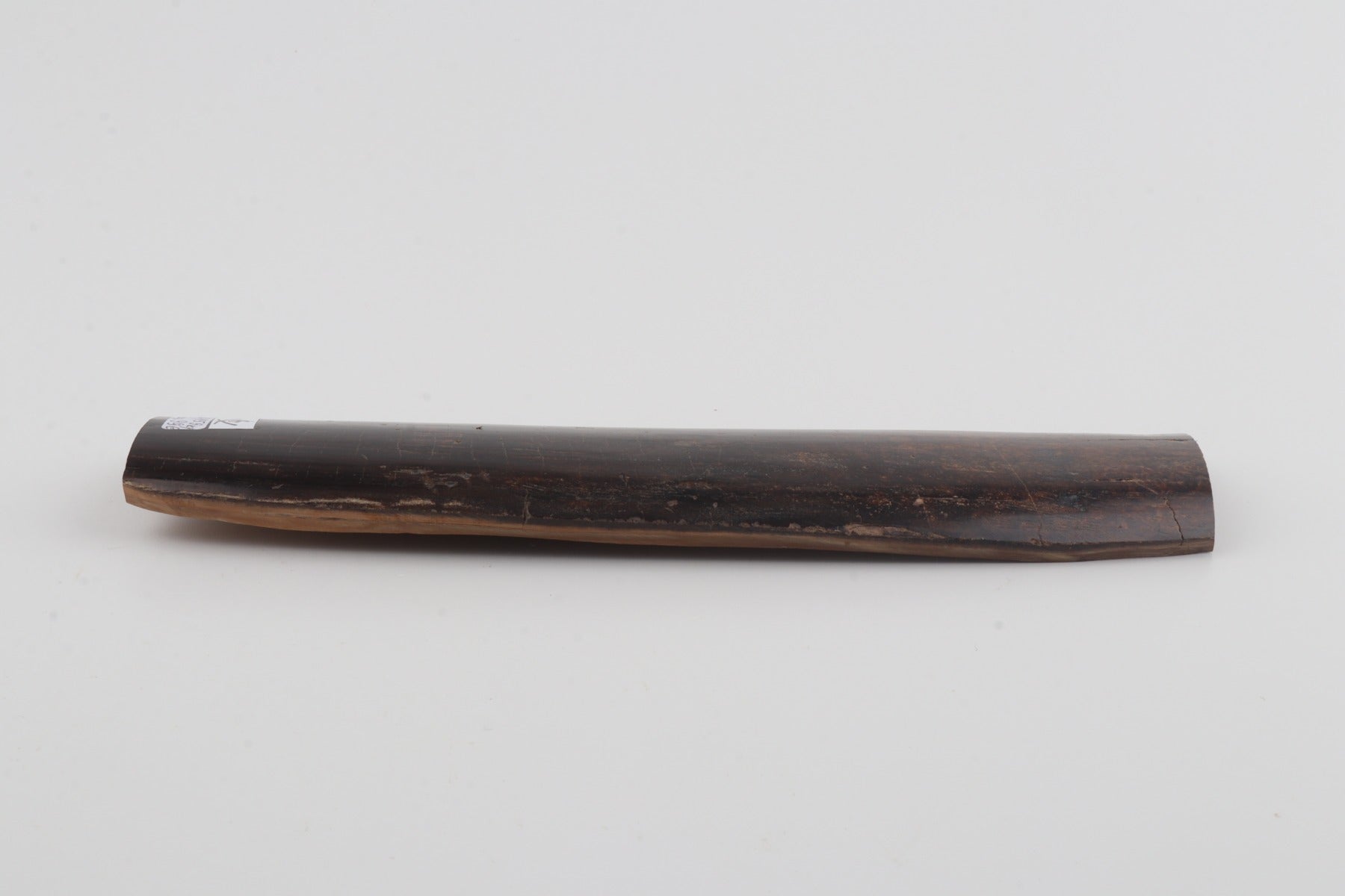 Brown mammoth bark