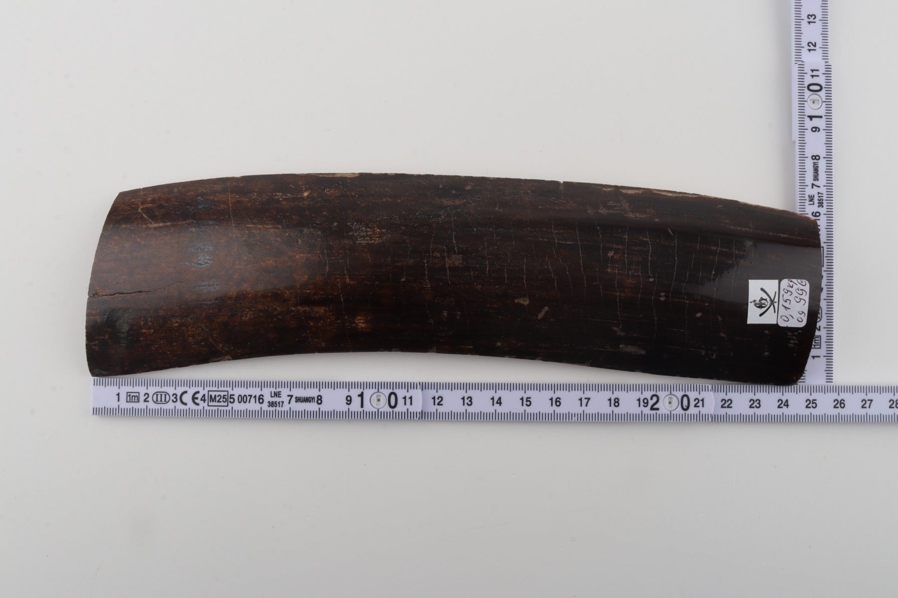 Brown mammoth bark