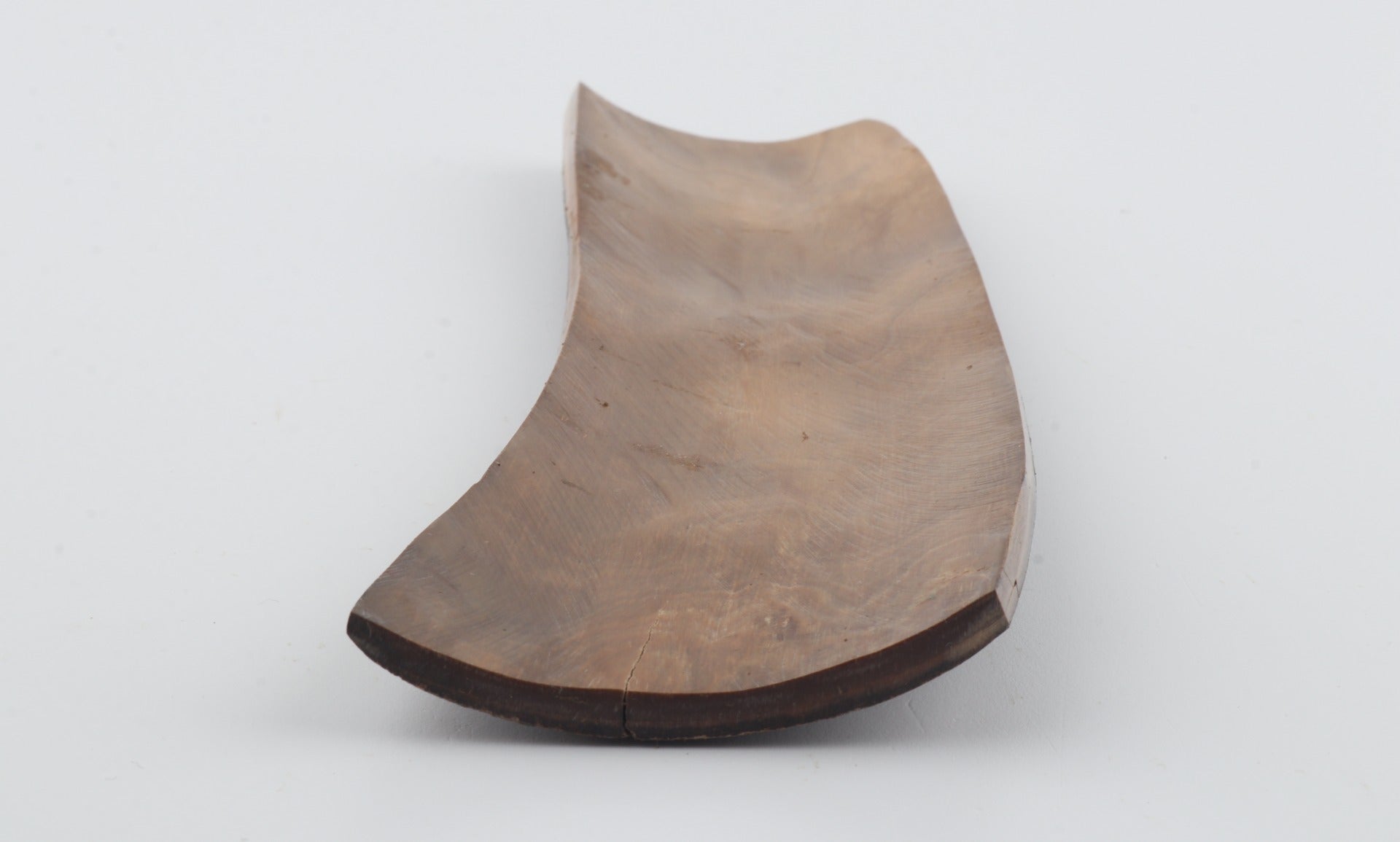 Brown mammoth bark