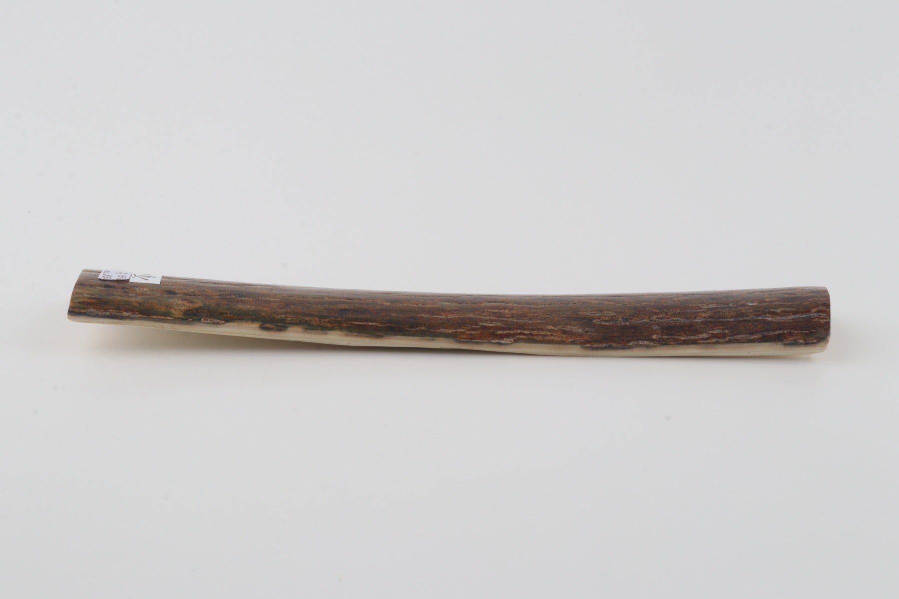 Brown mammoth bark