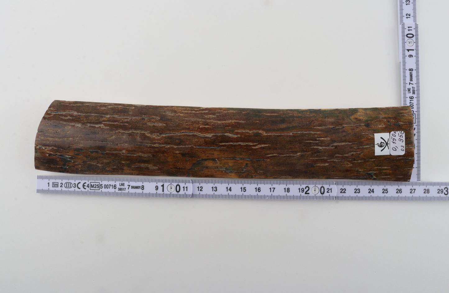 Brown mammoth bark