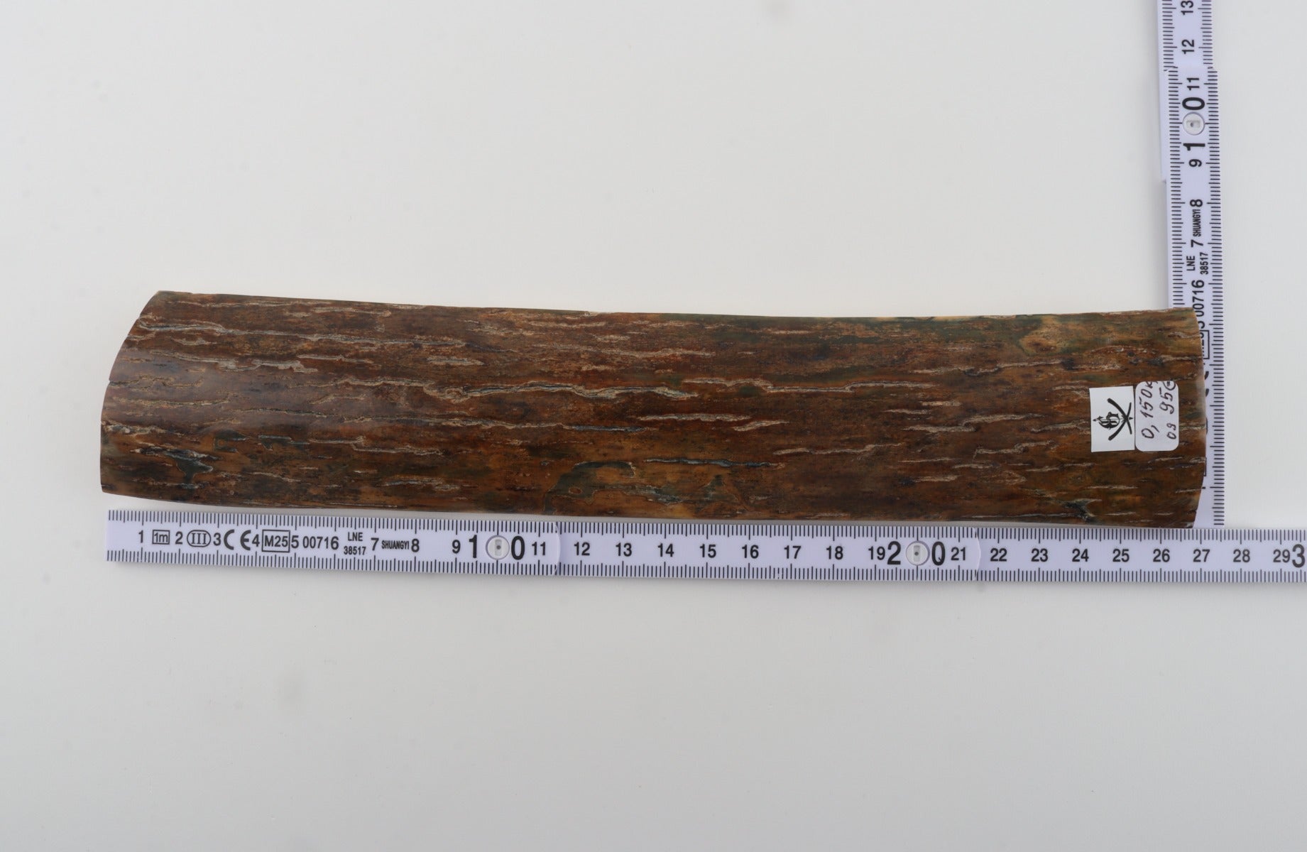 Brown mammoth bark