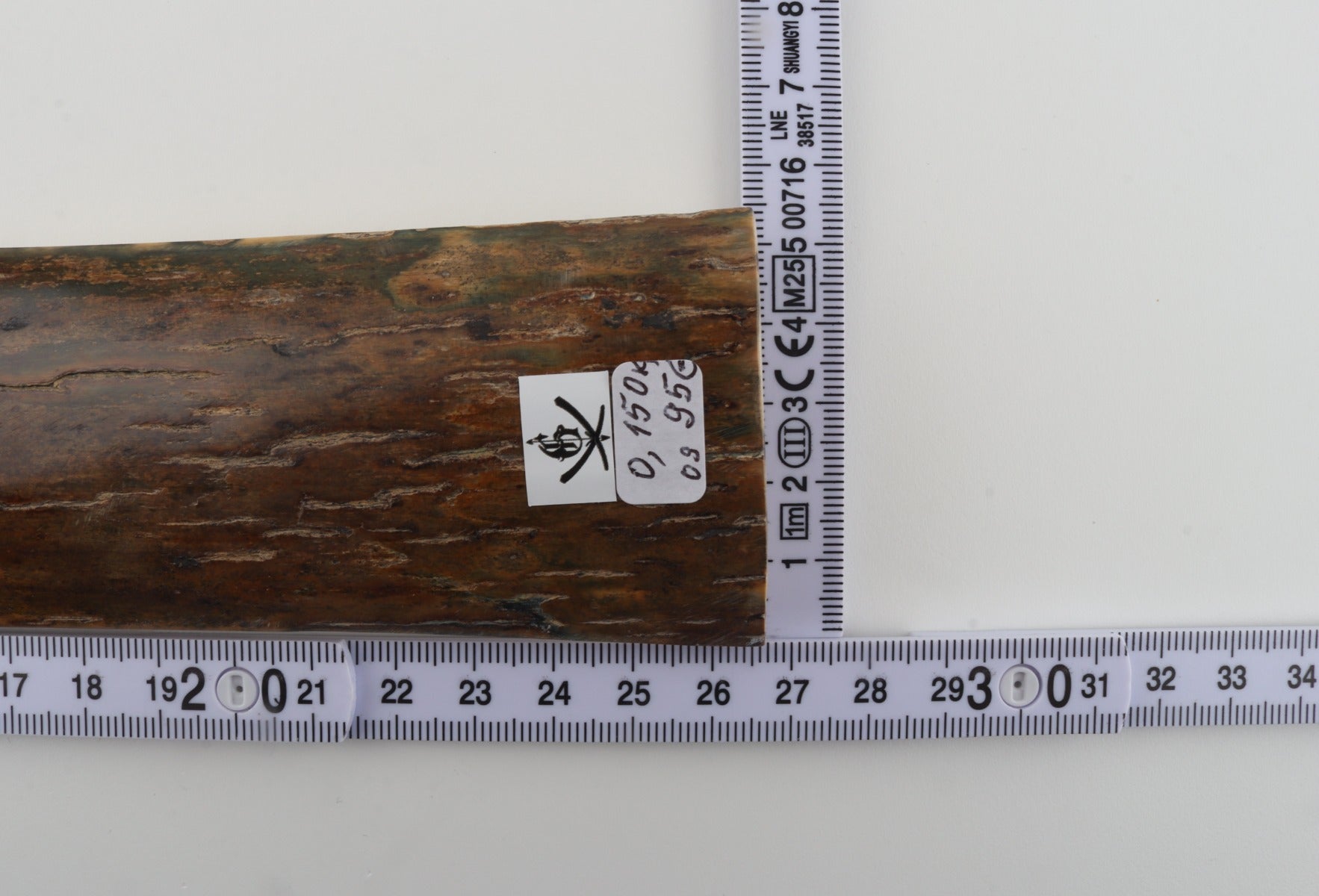 Brown mammoth bark