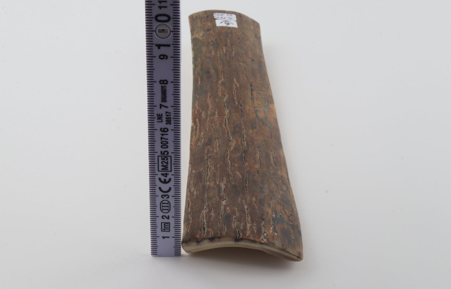 Brown mammoth bark