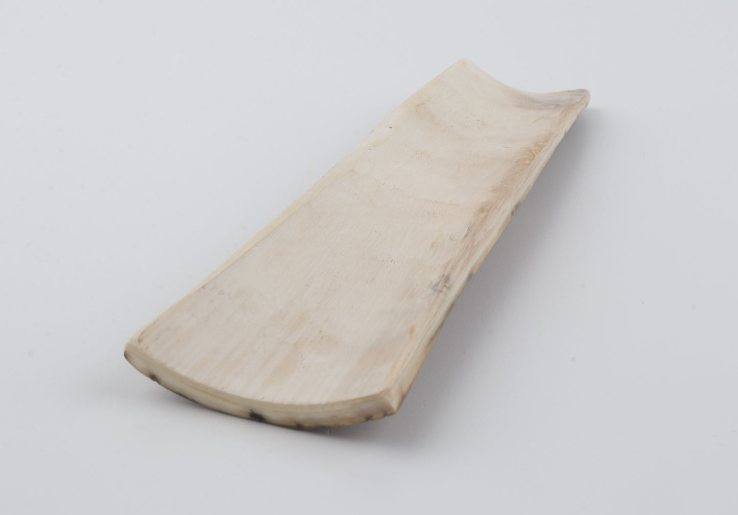 Brown mammoth bark