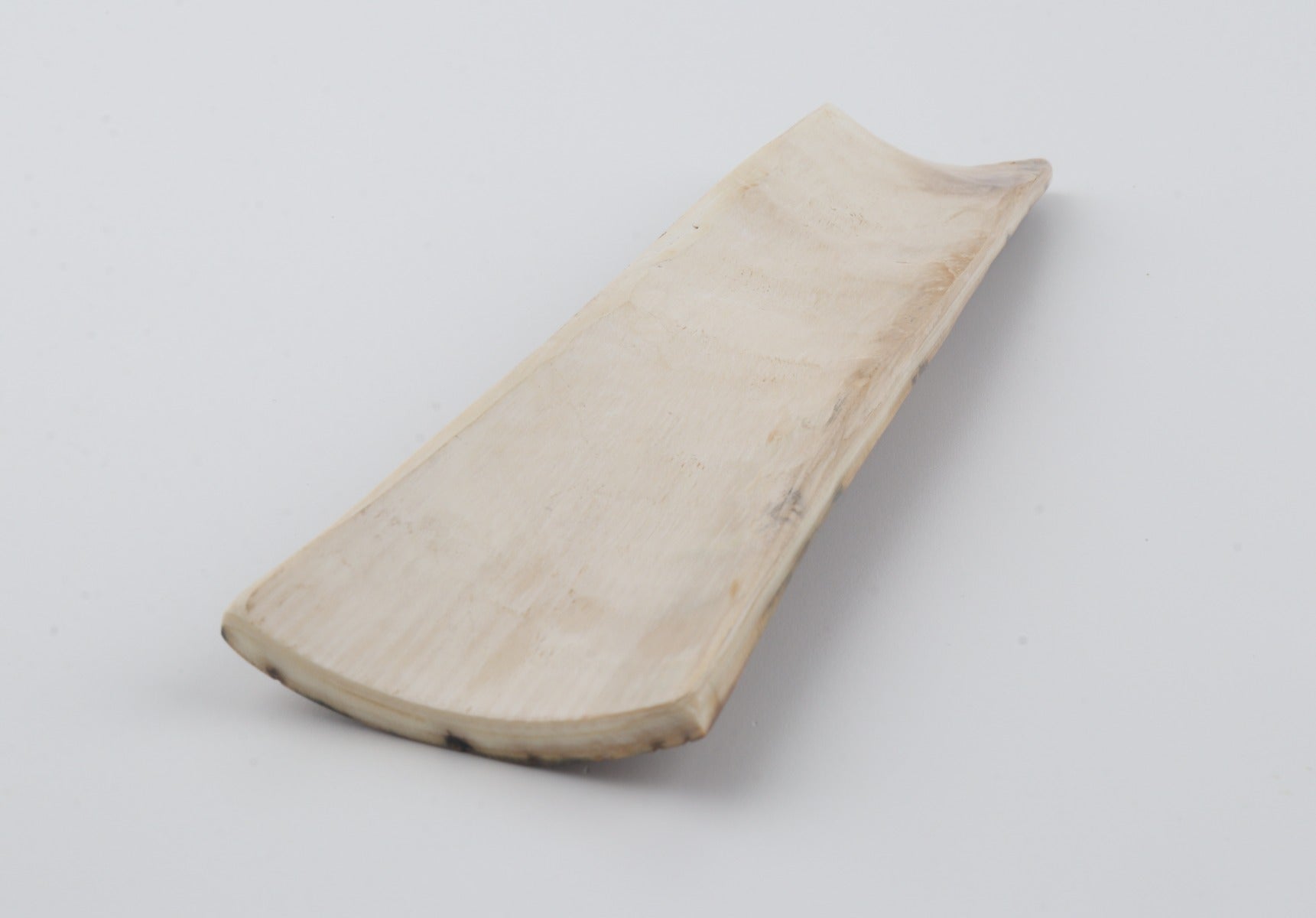Brown mammoth bark
