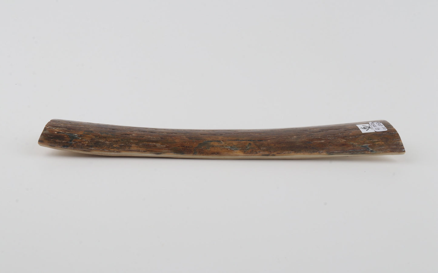 Brown mammoth bark