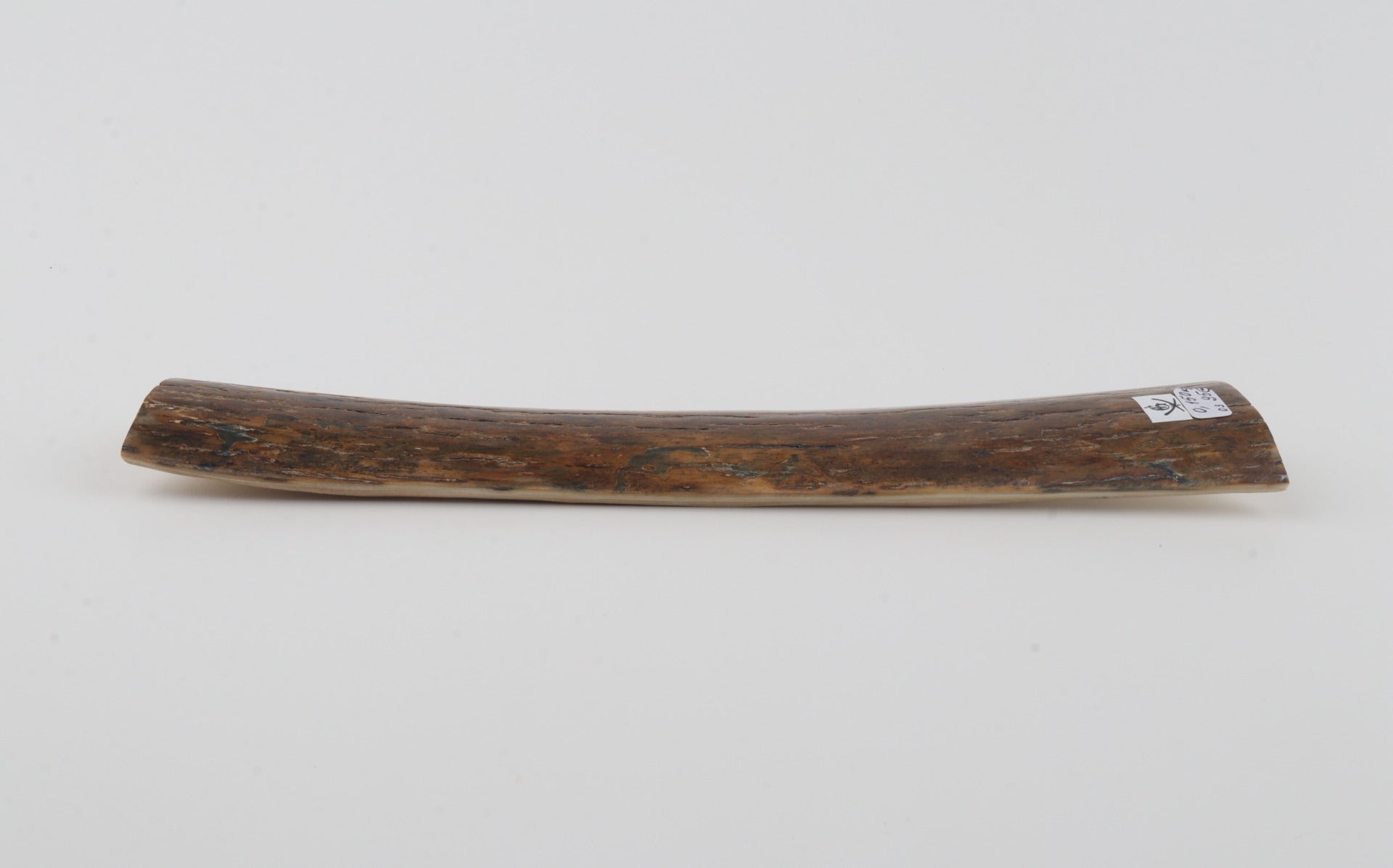 Brown mammoth bark