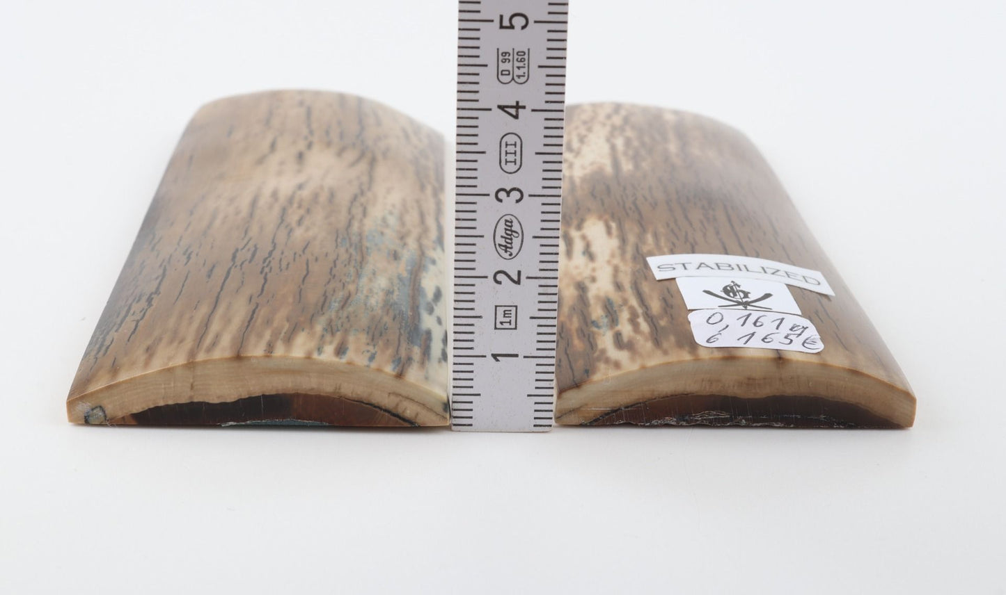 Stabilised mammoth bark scales