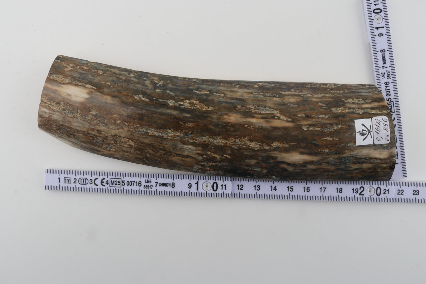 Green mammoth bark