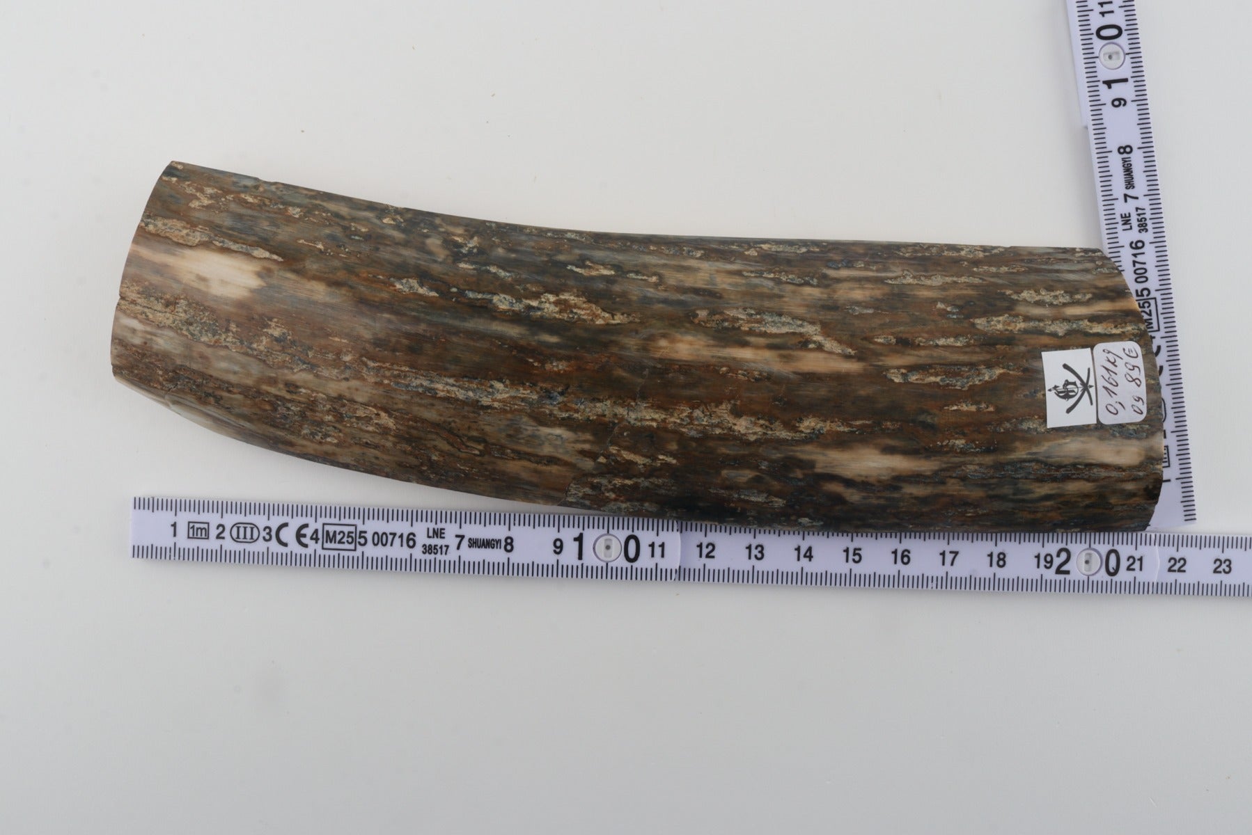 Green mammoth bark