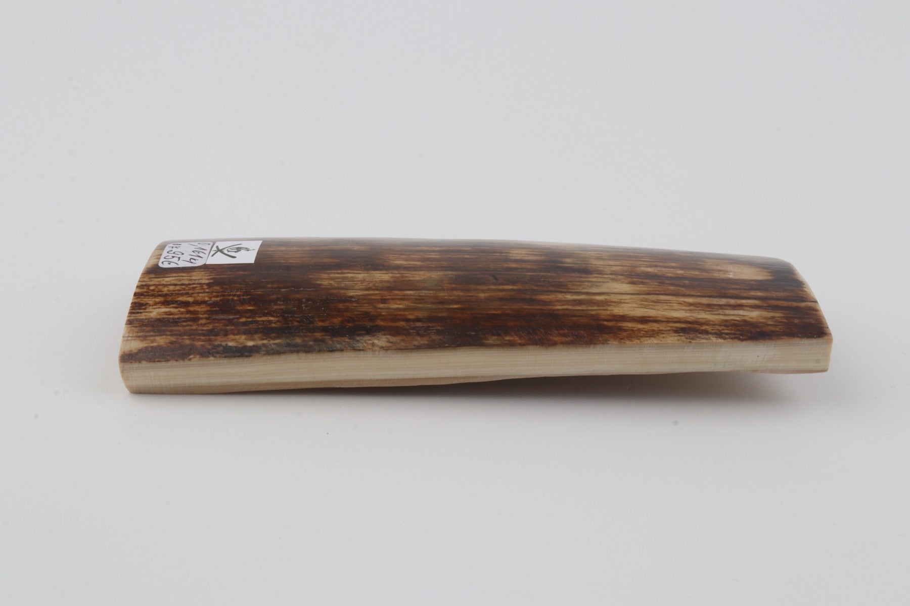 Brown mammoth bark