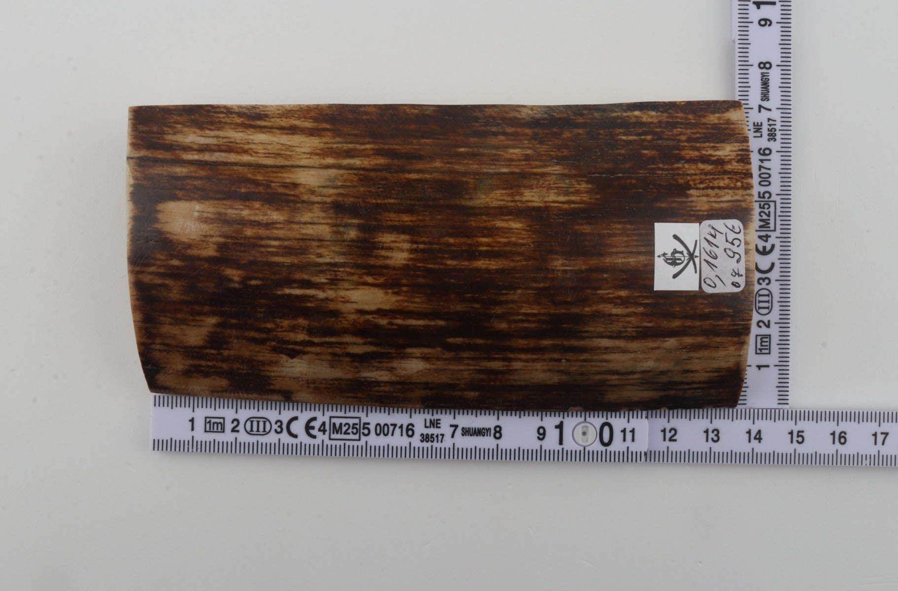 Brown mammoth bark
